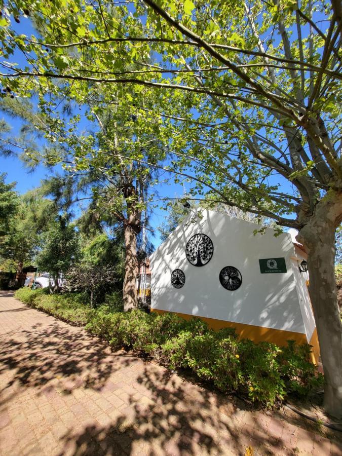 Quinta Da Mimosa Hotel Fajarda Eksteriør billede