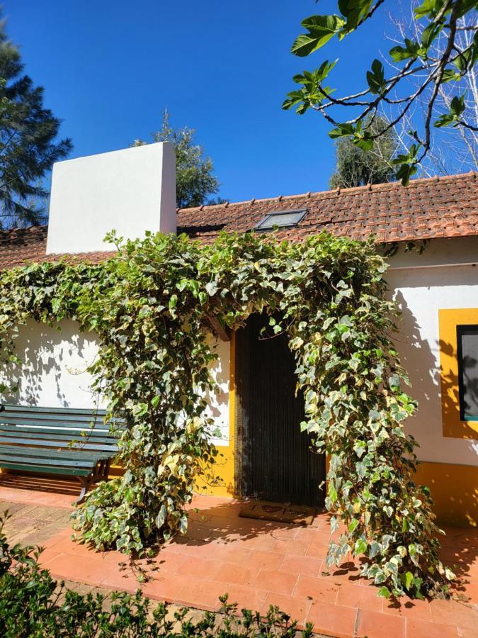 Quinta Da Mimosa Hotel Fajarda Eksteriør billede